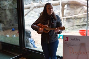 Precious singing and playing ukulele in front of gorilla enclosure at Franklin Park Zoo.